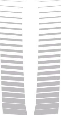 Main Hood Decal / Stripe Graphic Design Style 02