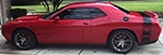 Picture of 2015 Dodge Challenger Rear Bumblebee Tail Stripes Installed By Customer