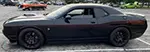 Picture of 2015 Dodge Challenger Redline Side Stripes OEM Style Installed By Customer