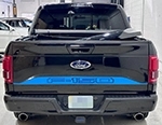 Picture of 2015 Ford F-150 Tailgate Callout Installed By Customer